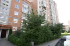 Medis butą pavertė ola Medis butą pavertė ola