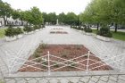 Lietuvininkų aikštėje – sunykę rožynai Lietuvininkų aikštėje – sunykę rožynai